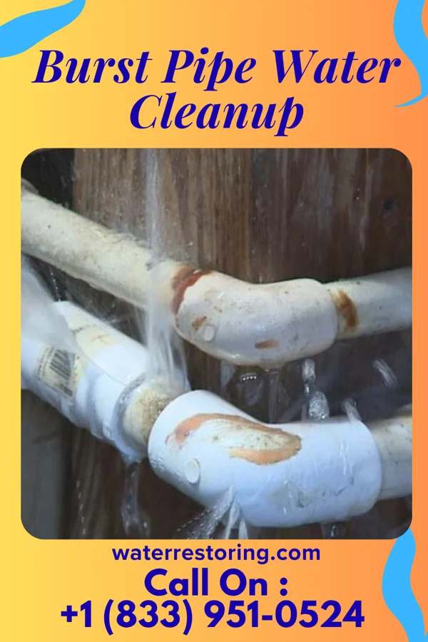 Burst Pipe Water Cleanup in McDougal, AR